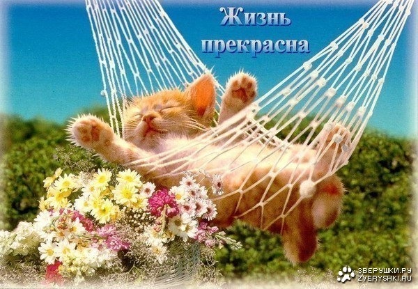 http://cs303211.vkontakte.ru/u63506942/145173417/x_5d8174c9.jpg